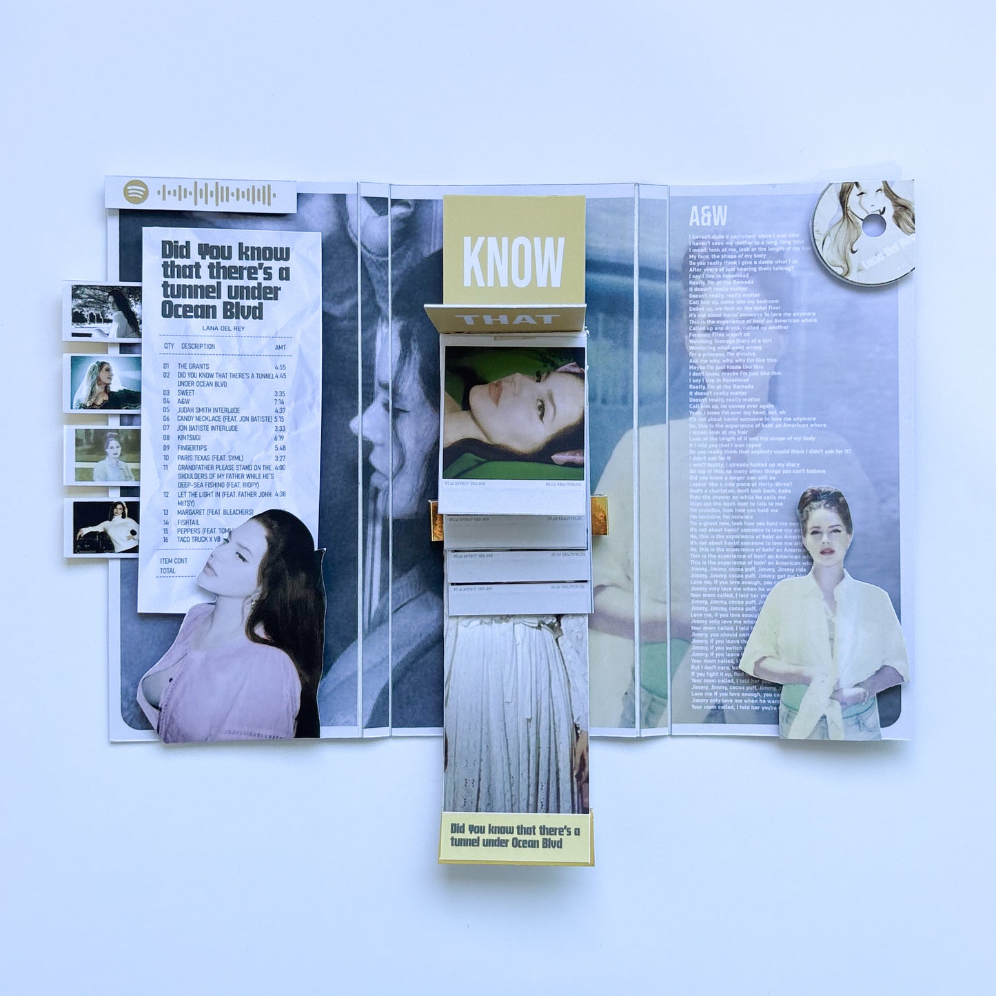 FLIP BOOK - LANA DEL REY