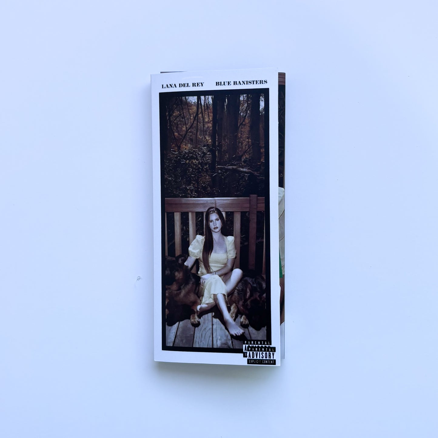 FLIP BOOK - LANA DEL REY