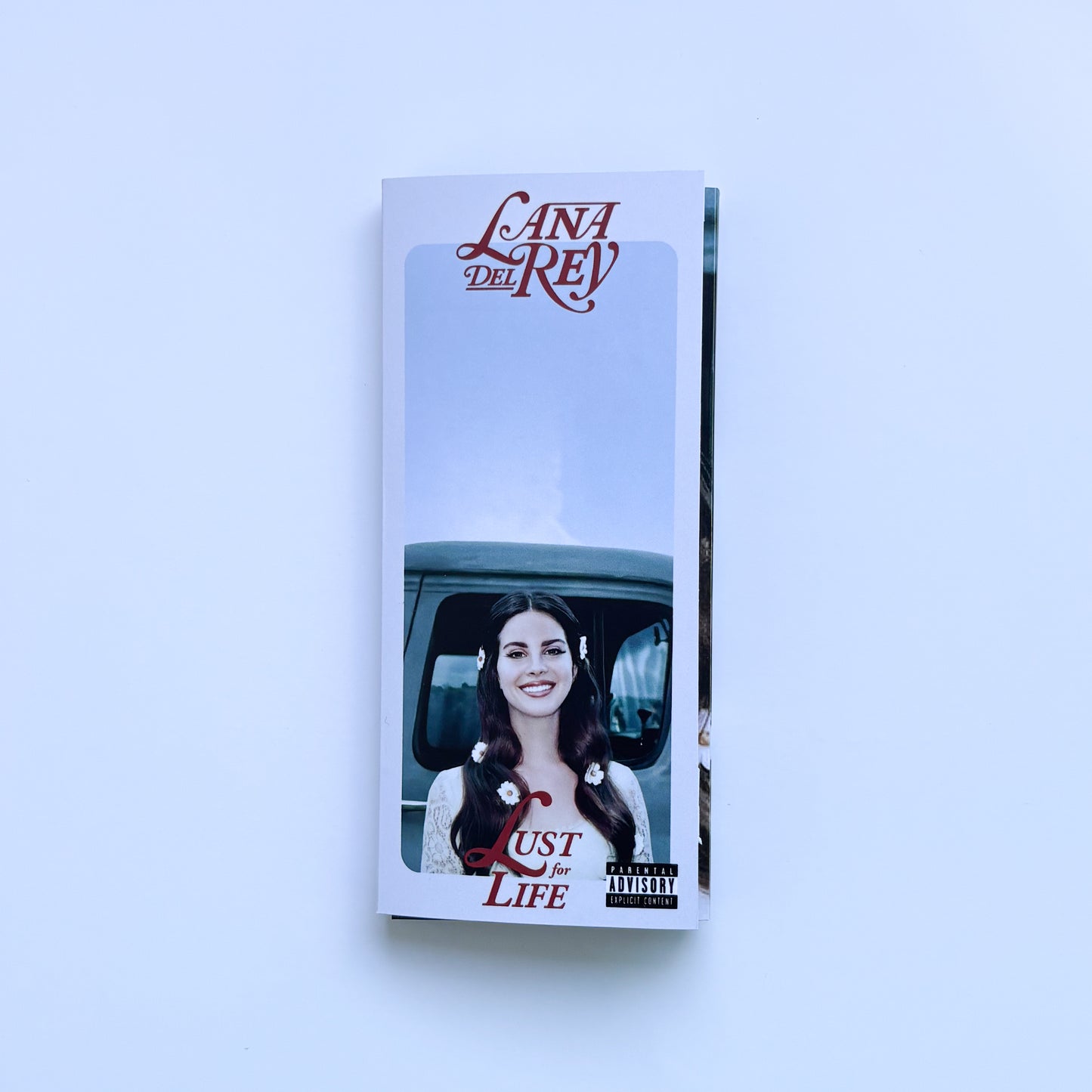 FLIP BOOK - LANA DEL REY