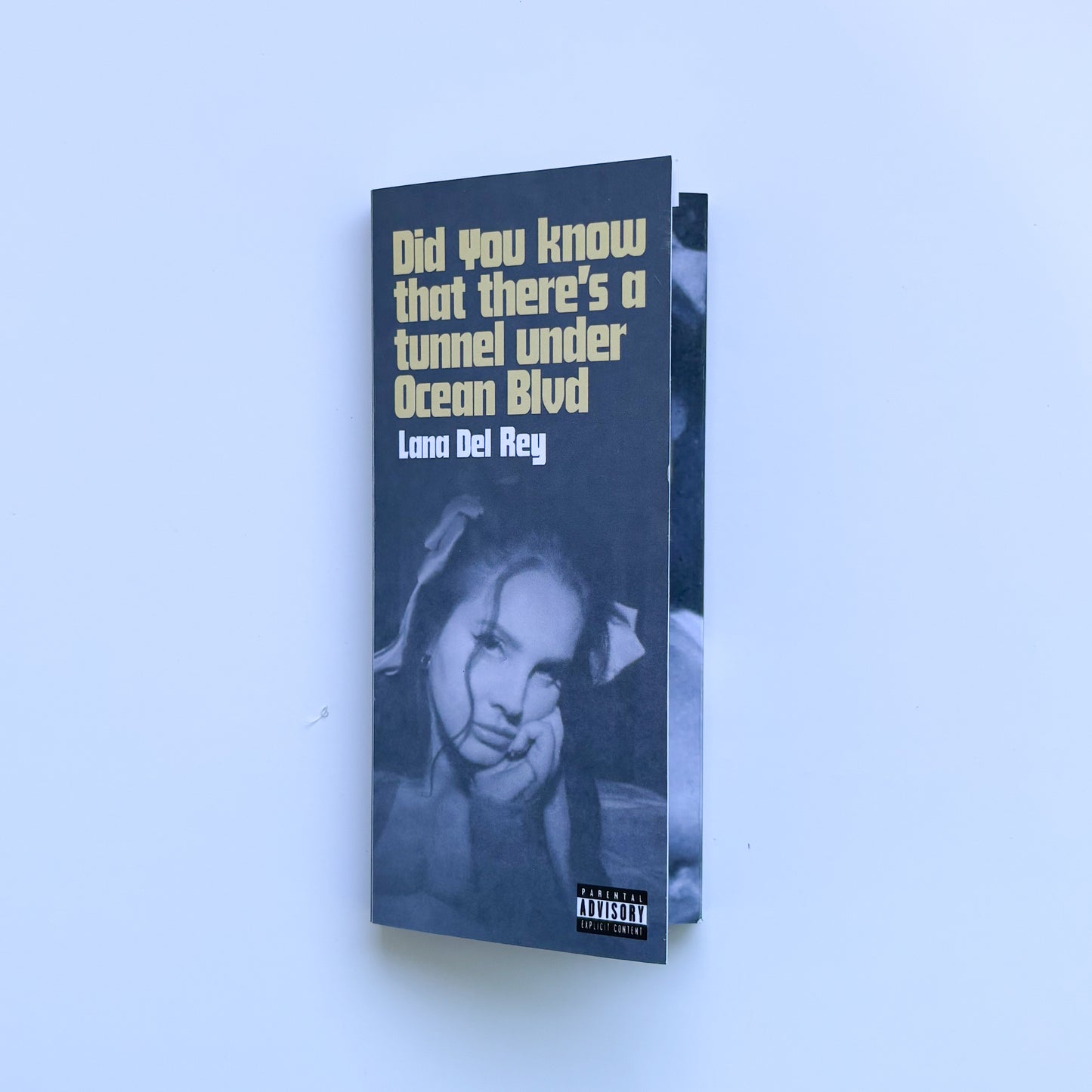 FLIP BOOK - LANA DEL REY