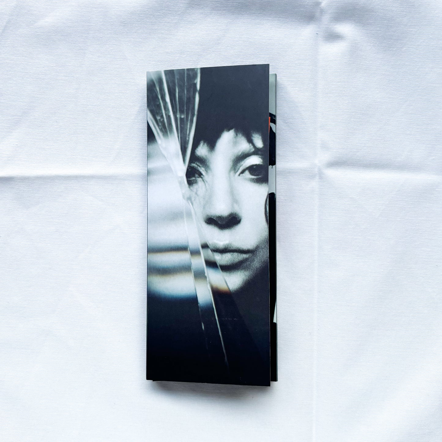 Flipbook - Lady Gaga