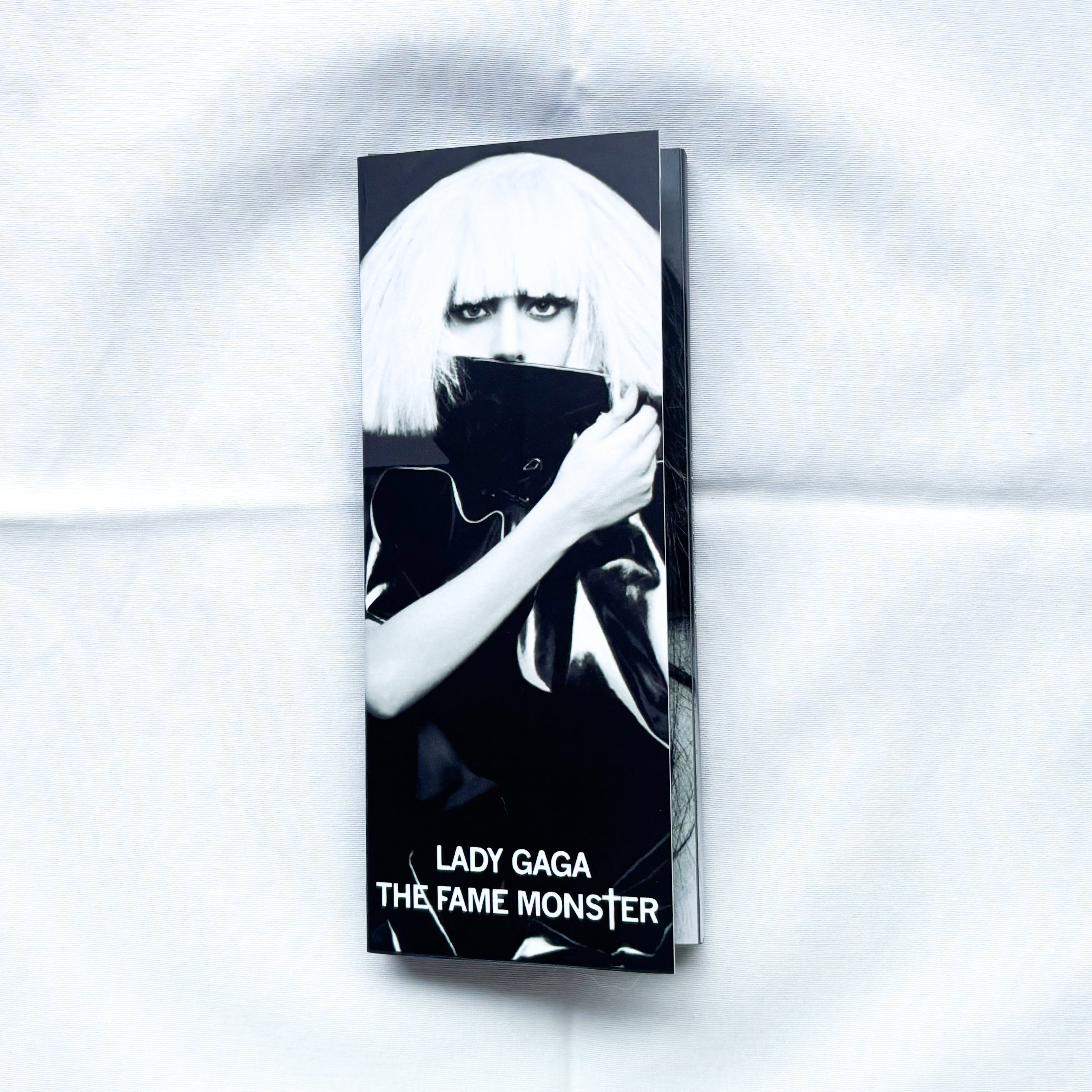 Flipbook - Lady Gaga – HS STUDIO
