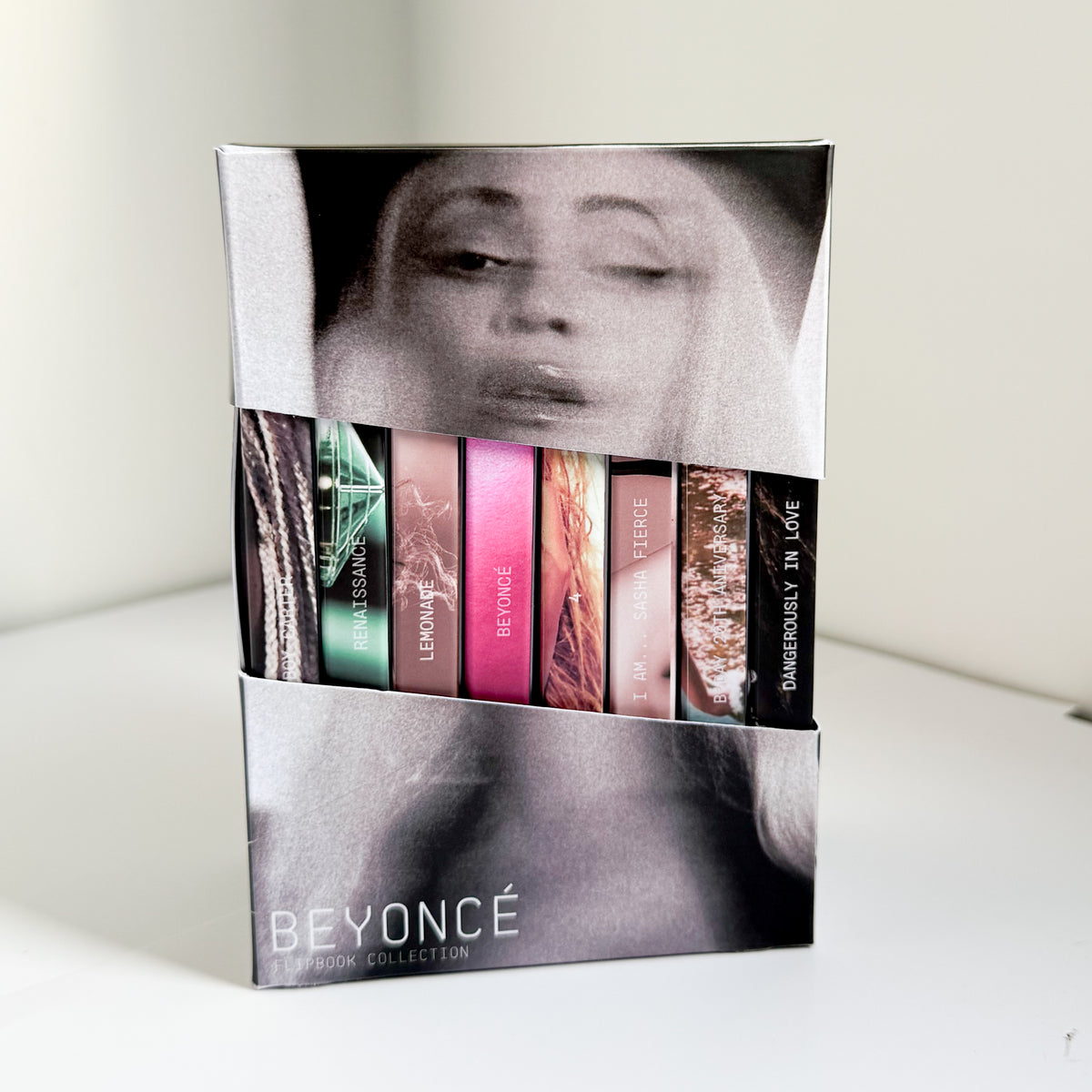 BEYONCÉ FLIPBOOKS