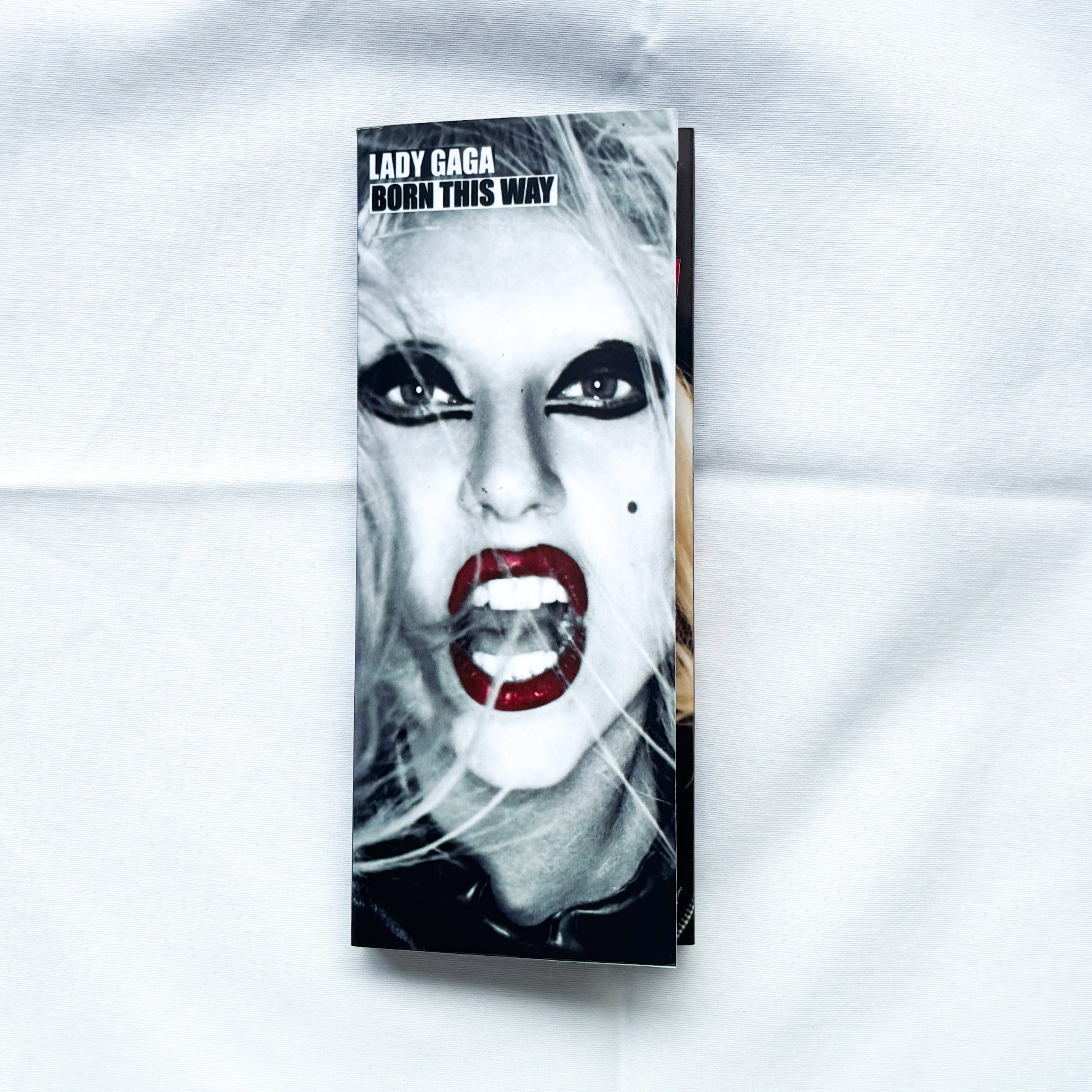 Flipbook - Lady Gaga – HS STUDIO