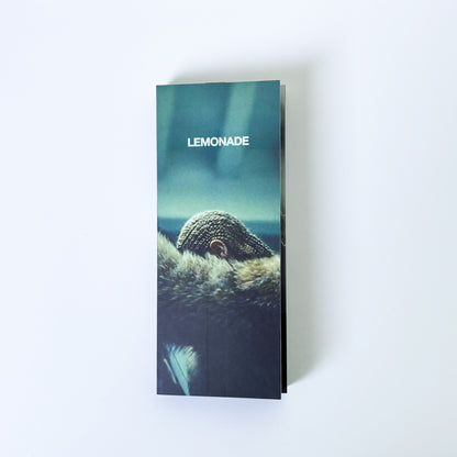 FLIPBOOKS - Beyoncé